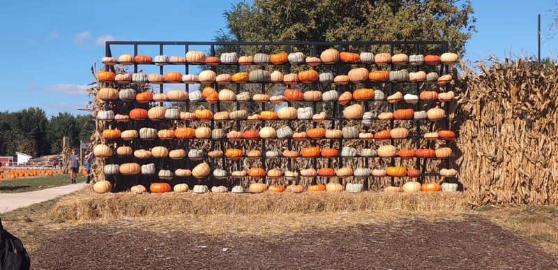 Go-Ro Pumpkin Pop-Up, Union, IL