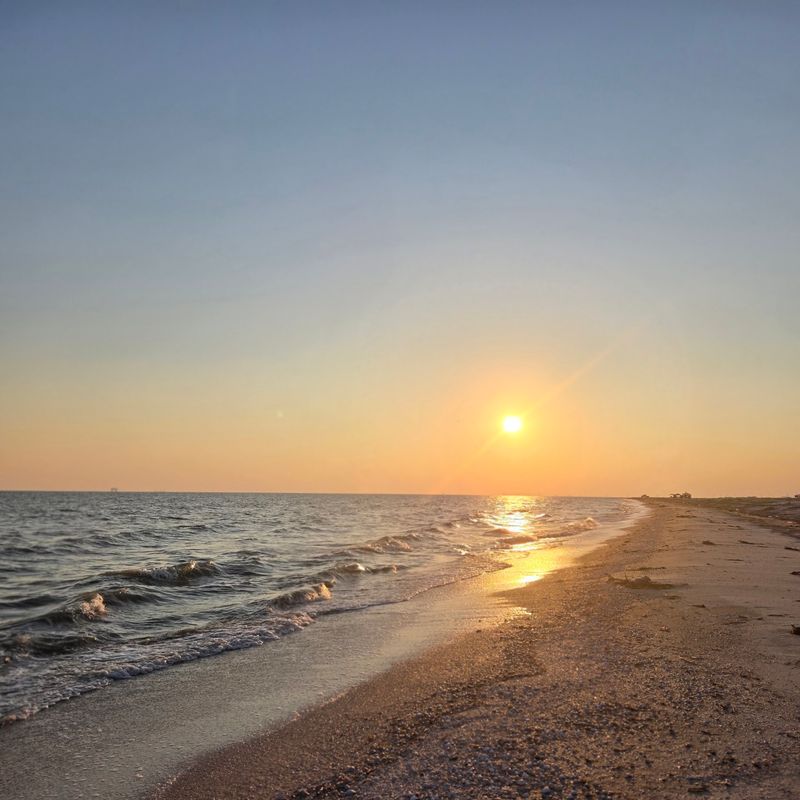 Go Shell Hunting Where The Mississippi Leaves Gifts