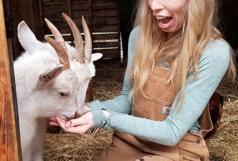 Goats and the Rescued Crew Rounding Out the Family
