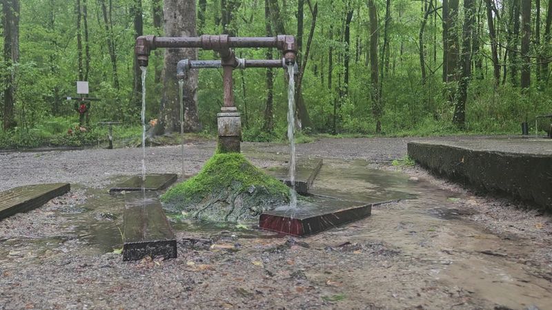 God's Acre Healing Springs, Blackville