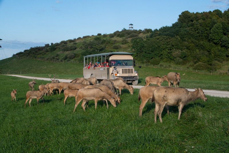 Going Off-Road On The Wildside Tour Going Off-Road On The Wildside Tour