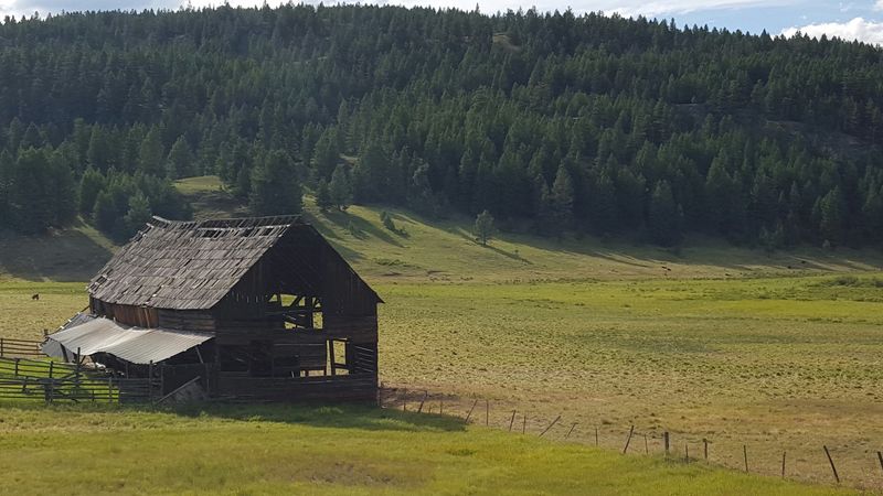 Gold Fever Built This Town