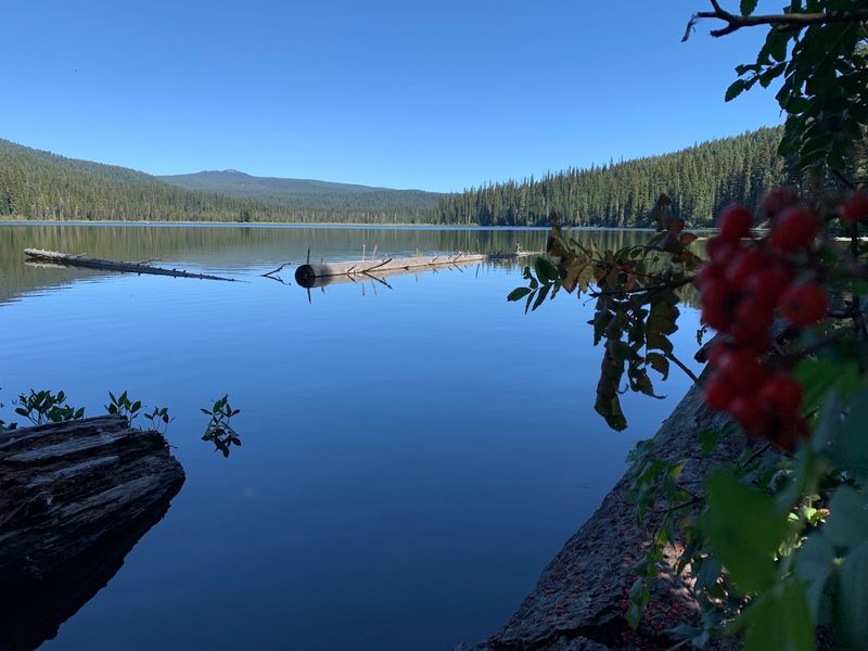 Gold Lake Campground