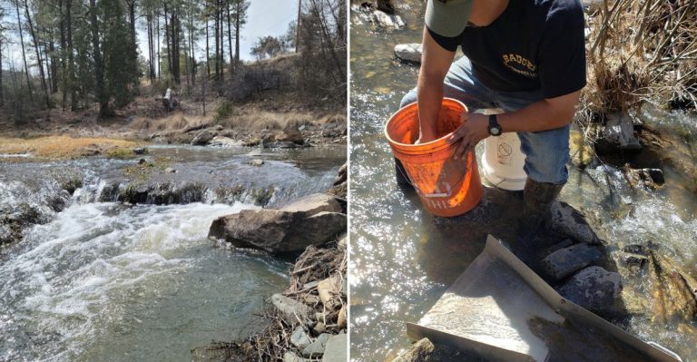 Gold Panning Is Still Legal At This Arizona Creek Near Prescott