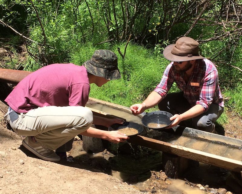Gold Panning at Lomax Placer Mine