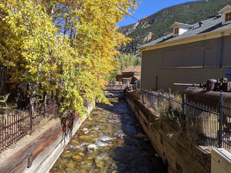 Golden Aspens Around Guanella Pass Keep Their Own Calendar