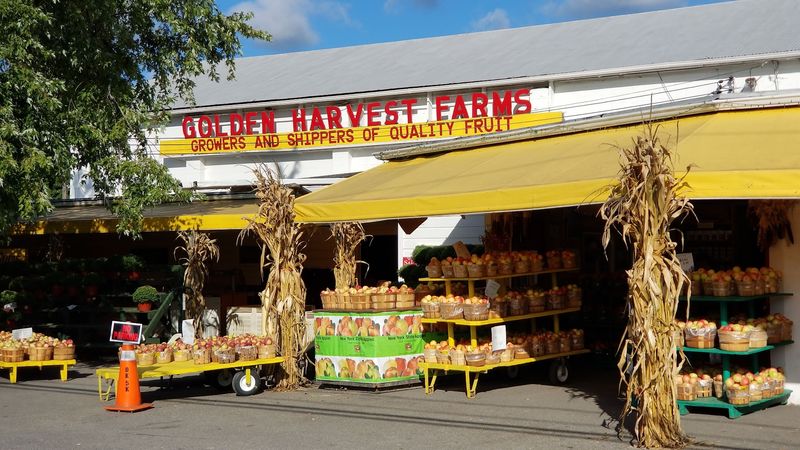 Golden Harvest Farms Golden Harvest Farms