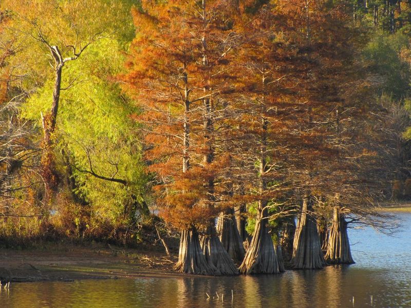 Seasonal Color Shifts Across Hills