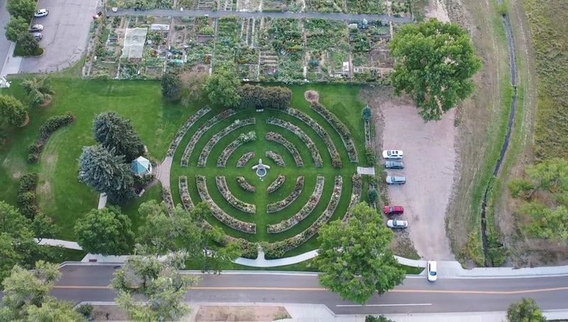 The Community Gardens Next Door Add Context and Charm
