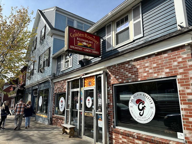 Golden Rooster, Saco Golden Rooster, Saco