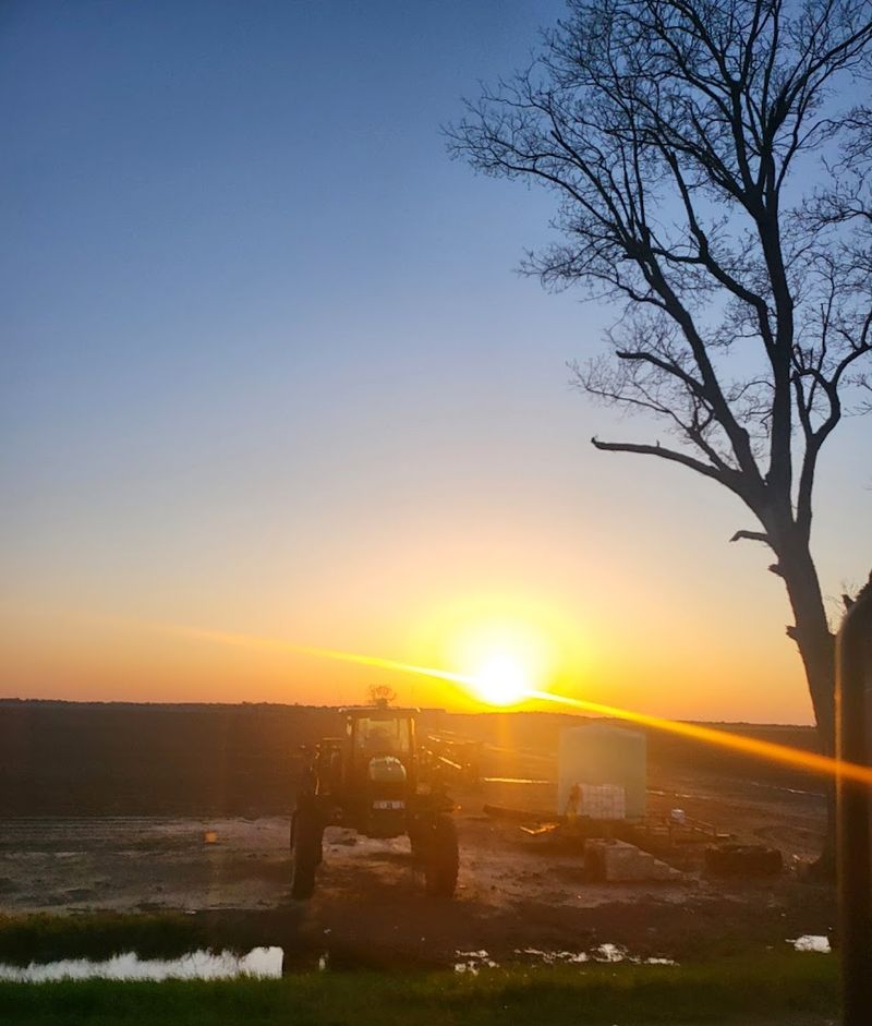 Golden Sunsets Transform The Entire Shoreline