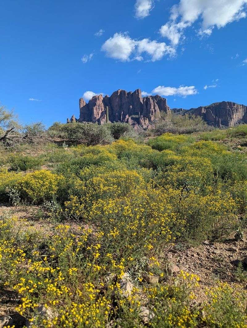 Lost Dutchman State Park Offers Desert Hiking Adventures