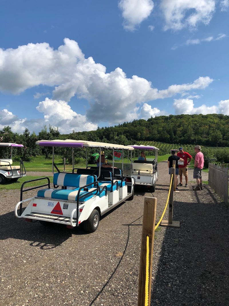Golf Cart Rides To The Fields Golf Cart Rides To The Fields