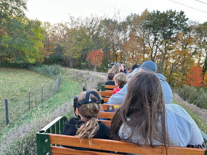 Gollywhopper Train Depot At Wildlife Prairie Park, Hanna City