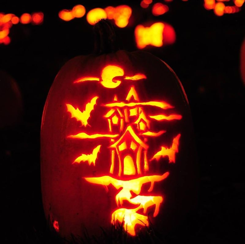 Good Causes Glow Right Alongside The Pumpkins Good Causes Glow Right Alongside The Pumpkins
