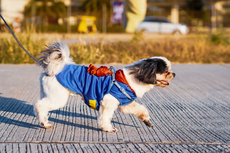 Good Luck Keeping A Straight Face At Dogtoberfest