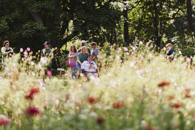 Good Seeds Flower Farm, Pleasant Plains