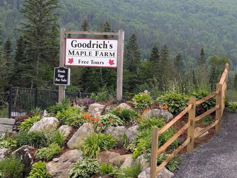 Goodrich's Maple Farm Goodrich's Maple Farm