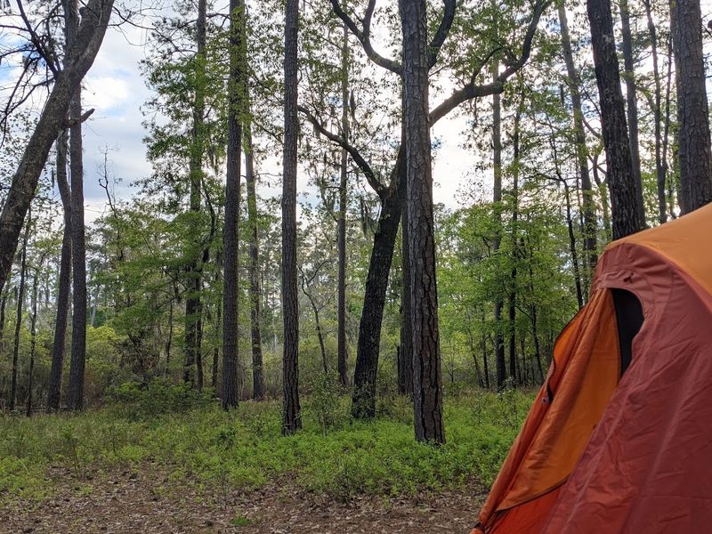 Goose Creek State Forest Campground