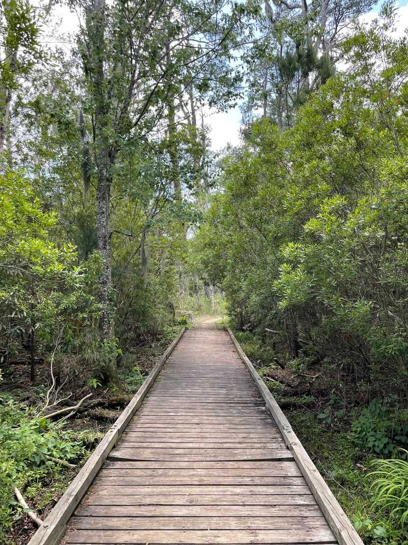 Goose Creek State Park