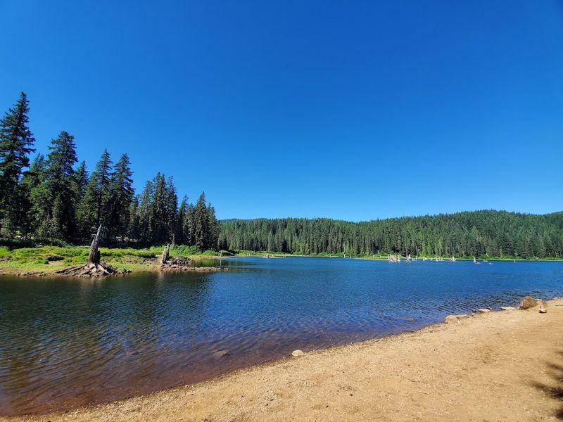 Goose Lake Campground, Carson, Washington Goose Lake Campground, Carson, Washington