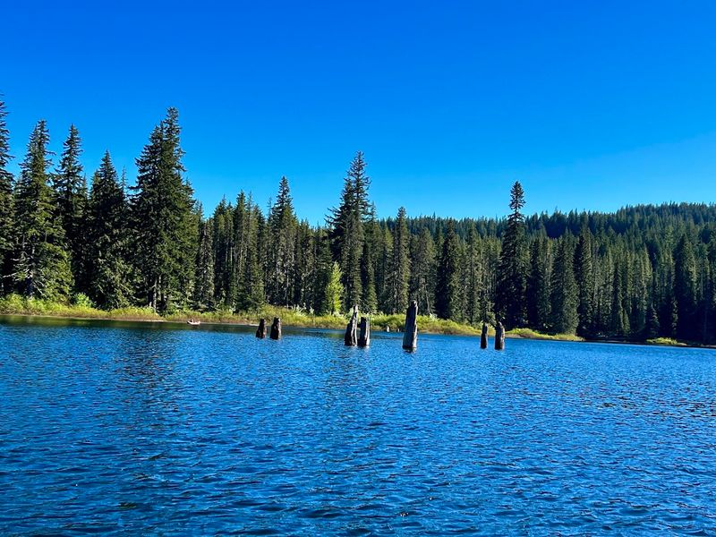 Goose Lake Campground, Gifford Pinchot National Forest Goose Lake Campground, Gifford Pinchot National Forest