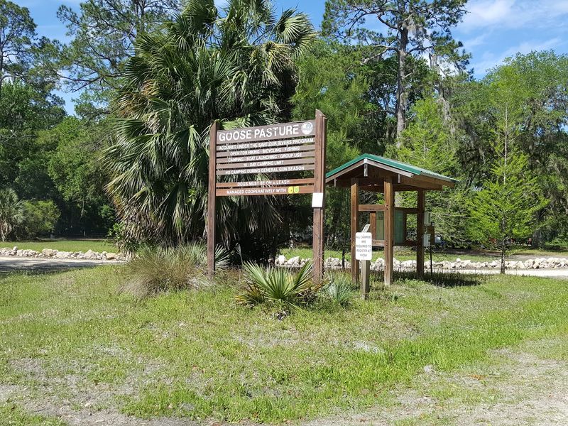 Goose Pasture Campground, Monticello
