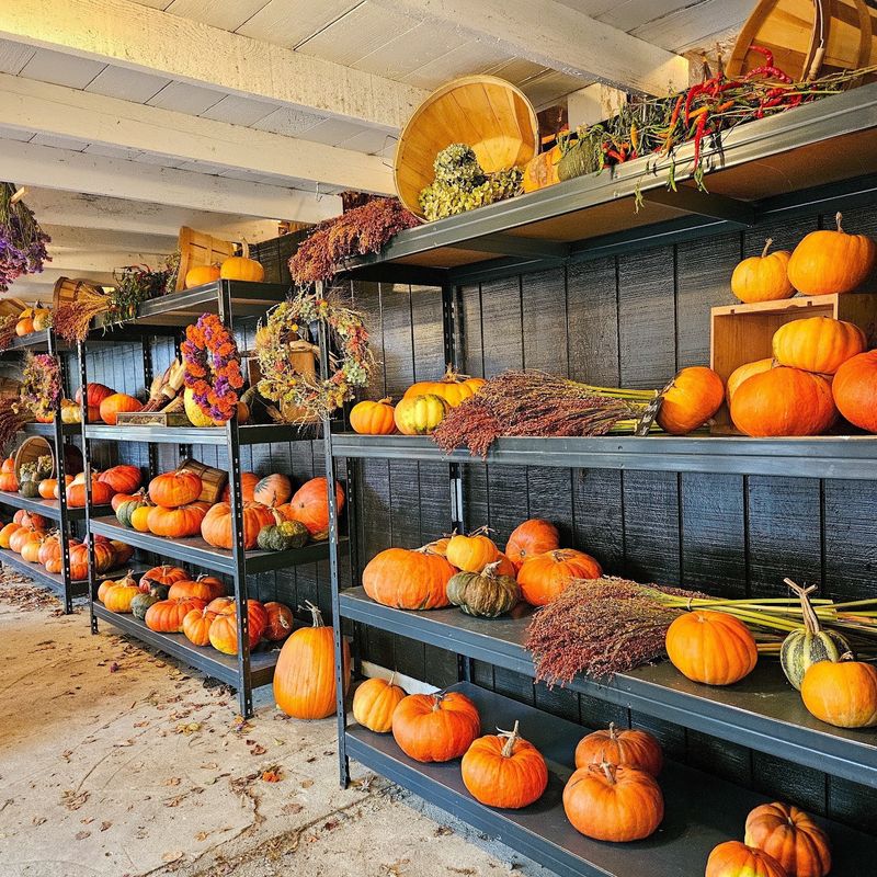 Gordon Skagit Farms, Mount Vernon, WA