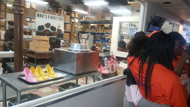 Hours, Pricing, And Practical Tips For Your March Visit