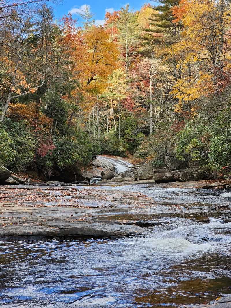 Gorges State Park