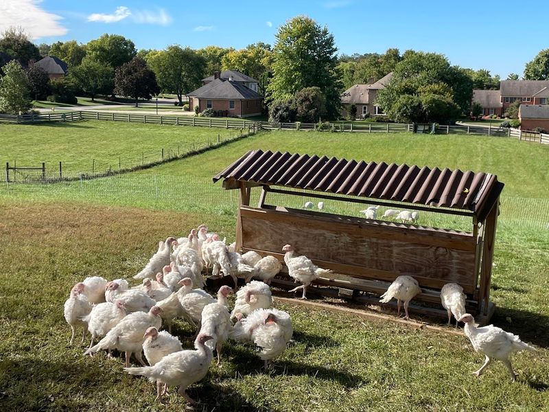 Gorman Heritage Farm, Evendale