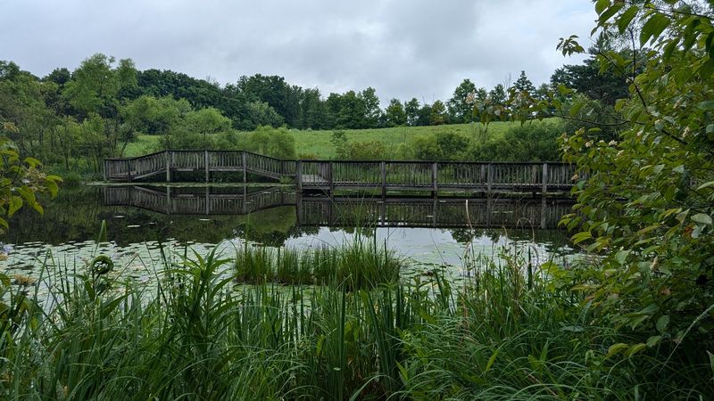 Gorman Nature Center, Mansfield, Ohio