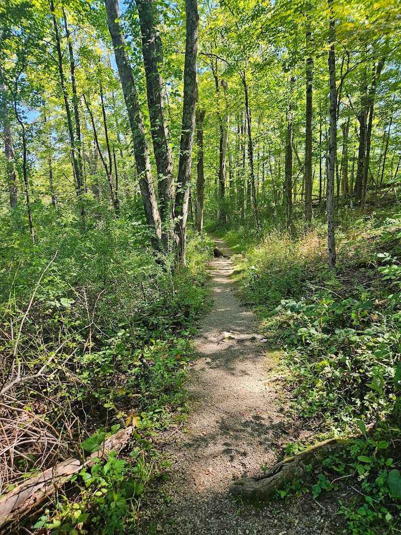 Gorman Nature Center Trail Loop, Mansfield, Ohio
