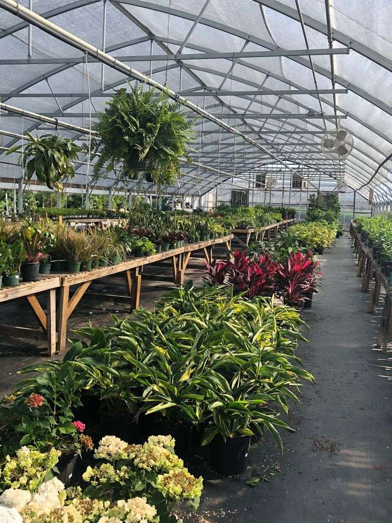 Got Plant Questions? Bring Every Single One