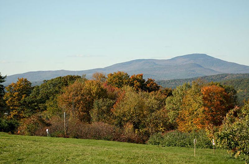 Gould Hill Farm Gould Hill Farm