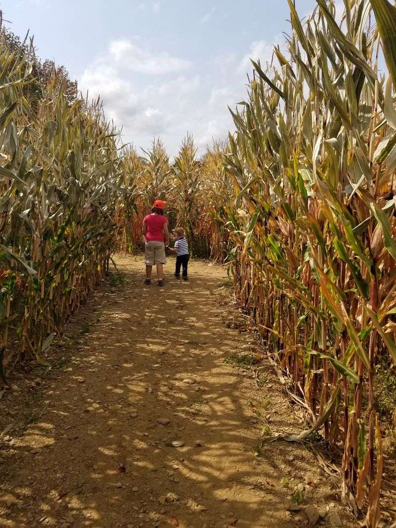 Grab A Flashlight Because This Maze Gets Even Better At Night