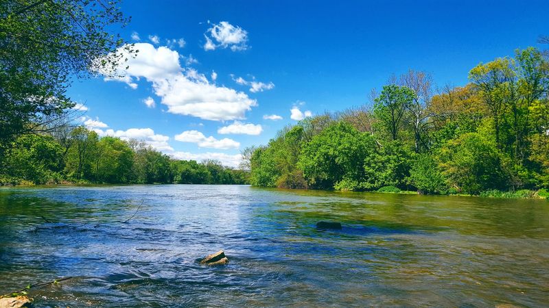 Grab A Kayak Because The Creek Is Practically Next Door