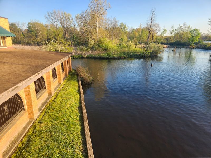 Grab a Window Seat and Enjoy That Pond View