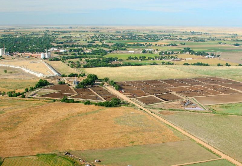 Rocky Ford melons are chin-dripping good