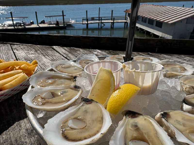 Fresh Oysters Come Straight From Local Waters