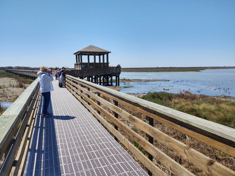 Leonabelle Turnbull Birding Center - Port Aransas, Texas