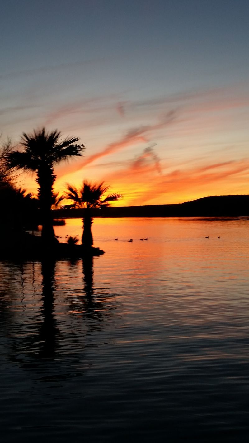 BlueWater Grille In Parker