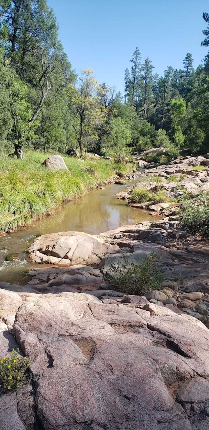 Ellison Creek Cascades