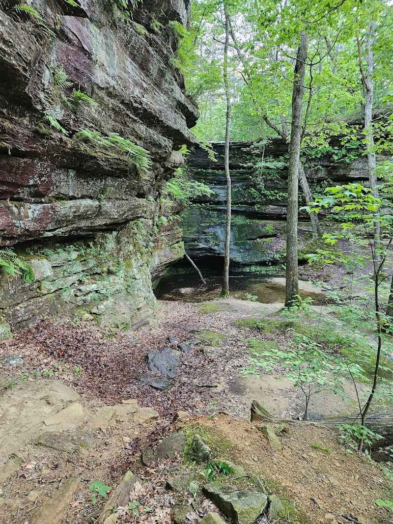 Hickory Canyons Natural Area