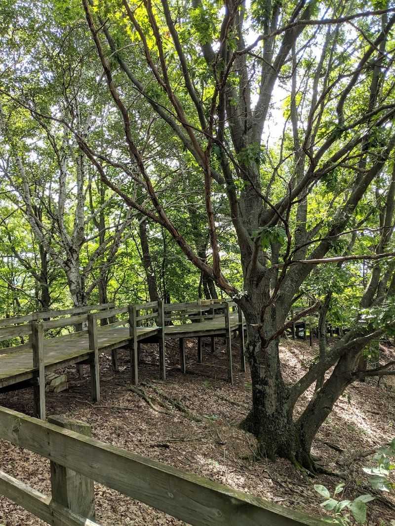 Ludington State Park Skyline Trail