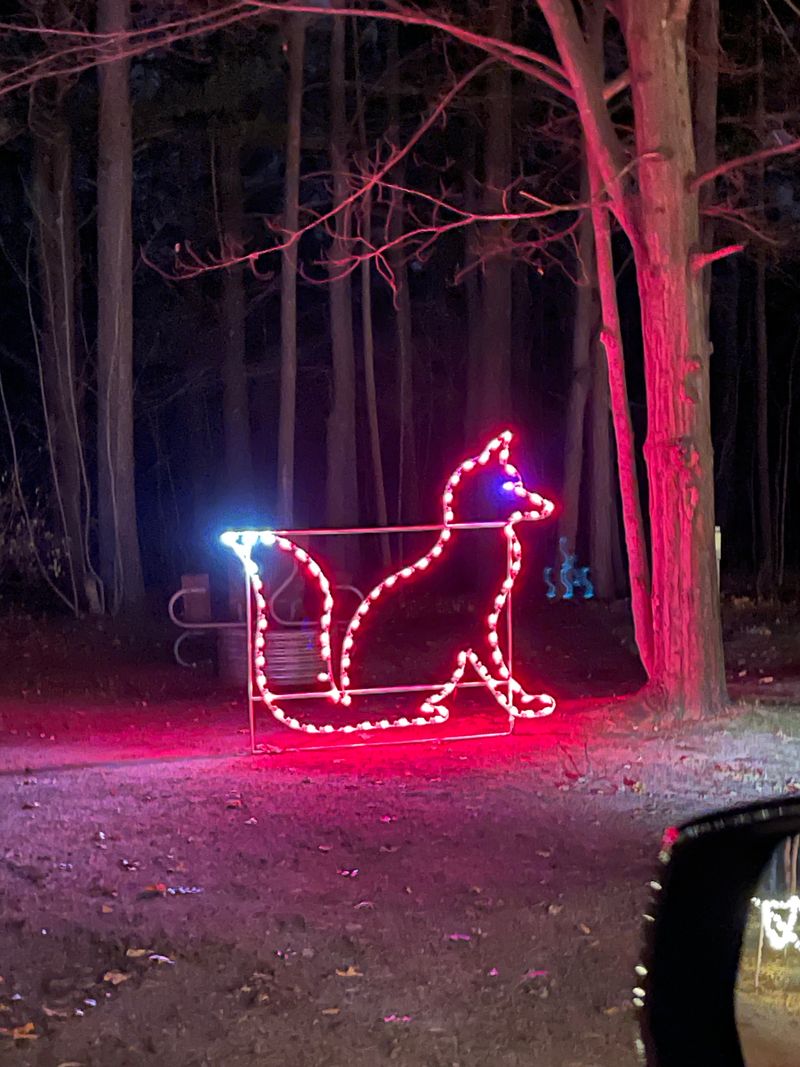 Traverse City – Victorian Christmas Festival & Light Parade