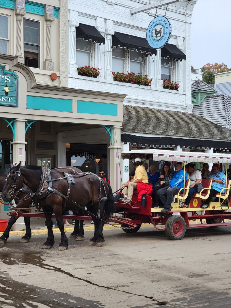 Carriage Rhythm And Hoofbeats