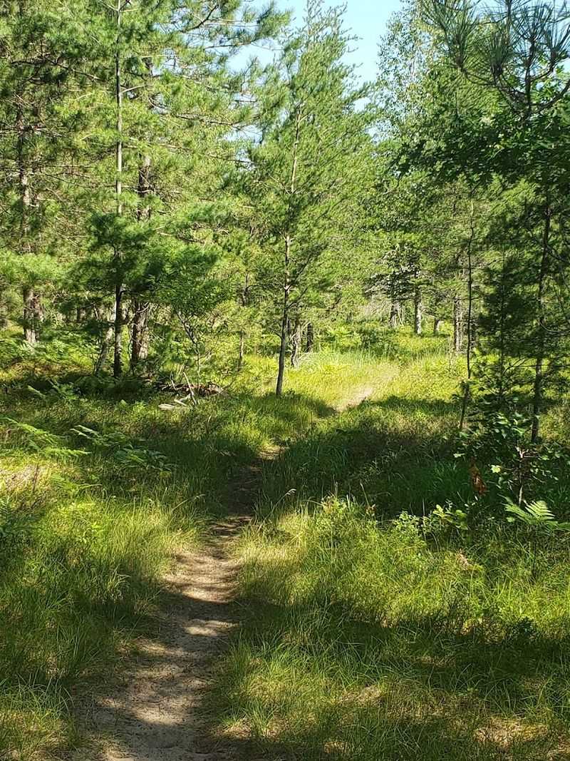 Grand Island Trail Grand Island Trail