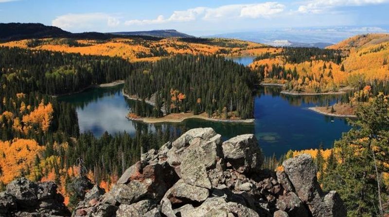 Grand Mesa Lakes - Mesa County, Colorado