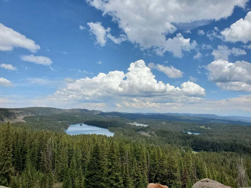 Grand Mesa National Forest Access Without The Crowds